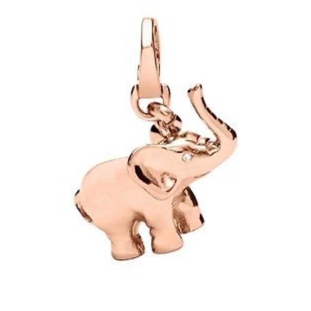 Rose Gold Fossil Elephant Charm 🐘